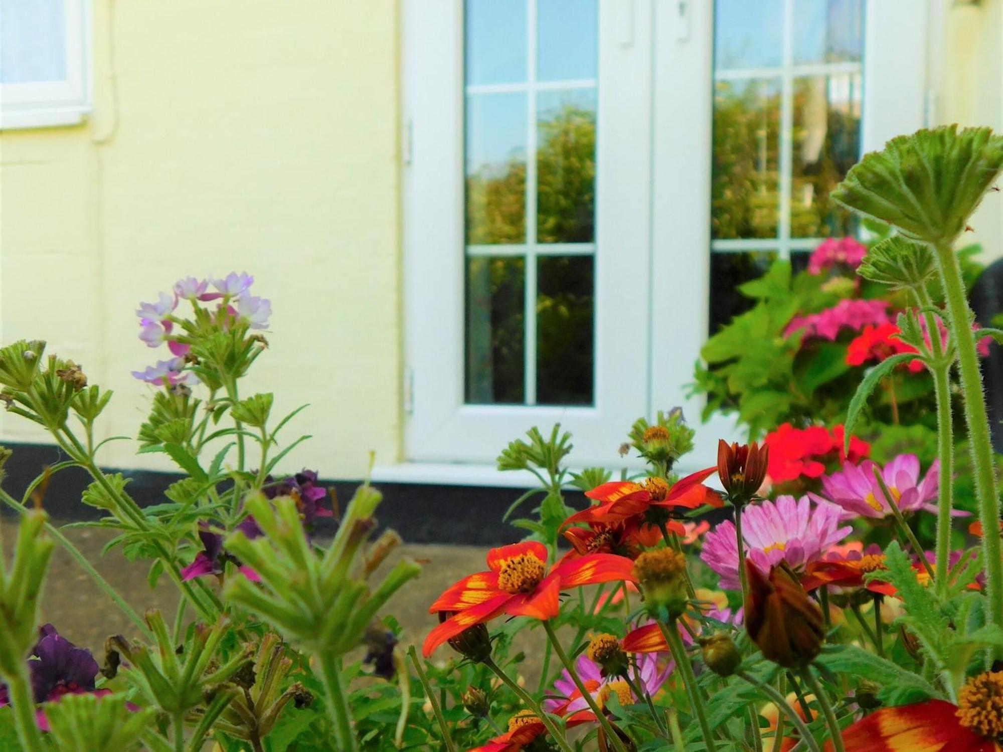 Greenbank Cottage Hilgay ภายนอก รูปภาพ